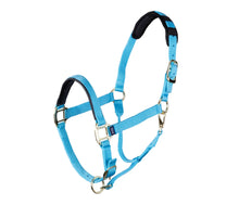 Load image into Gallery viewer, TOPAZ LEATHER BREAKAWAY NYLON HALTER
