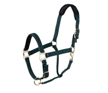 Load image into Gallery viewer, TOPAZ LEATHER BREAKAWAY NYLON HALTER
