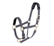 Load image into Gallery viewer, TOPAZ LEATHER BREAKAWAY NYLON HALTER
