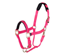 Load image into Gallery viewer, TOPAZ LEATHER BREAKAWAY NYLON HALTER
