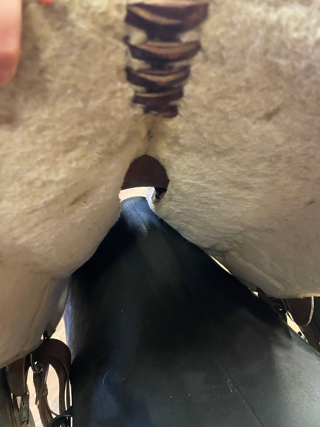 Used 15” Circle A American Saddlery Bear Trap Saddle #22270