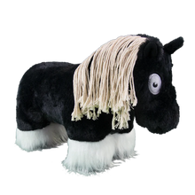 Load image into Gallery viewer, Crafty Pony Feather Set
