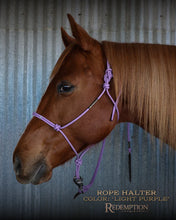 Load image into Gallery viewer, Haychix Redemption Rope Halters
