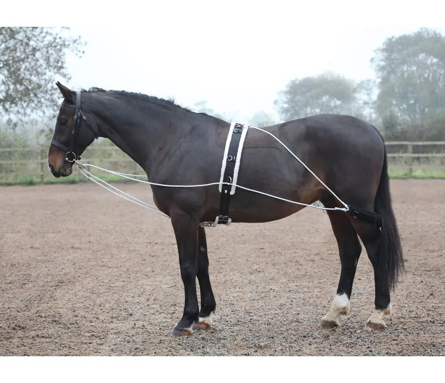 Shires LUNGING AID