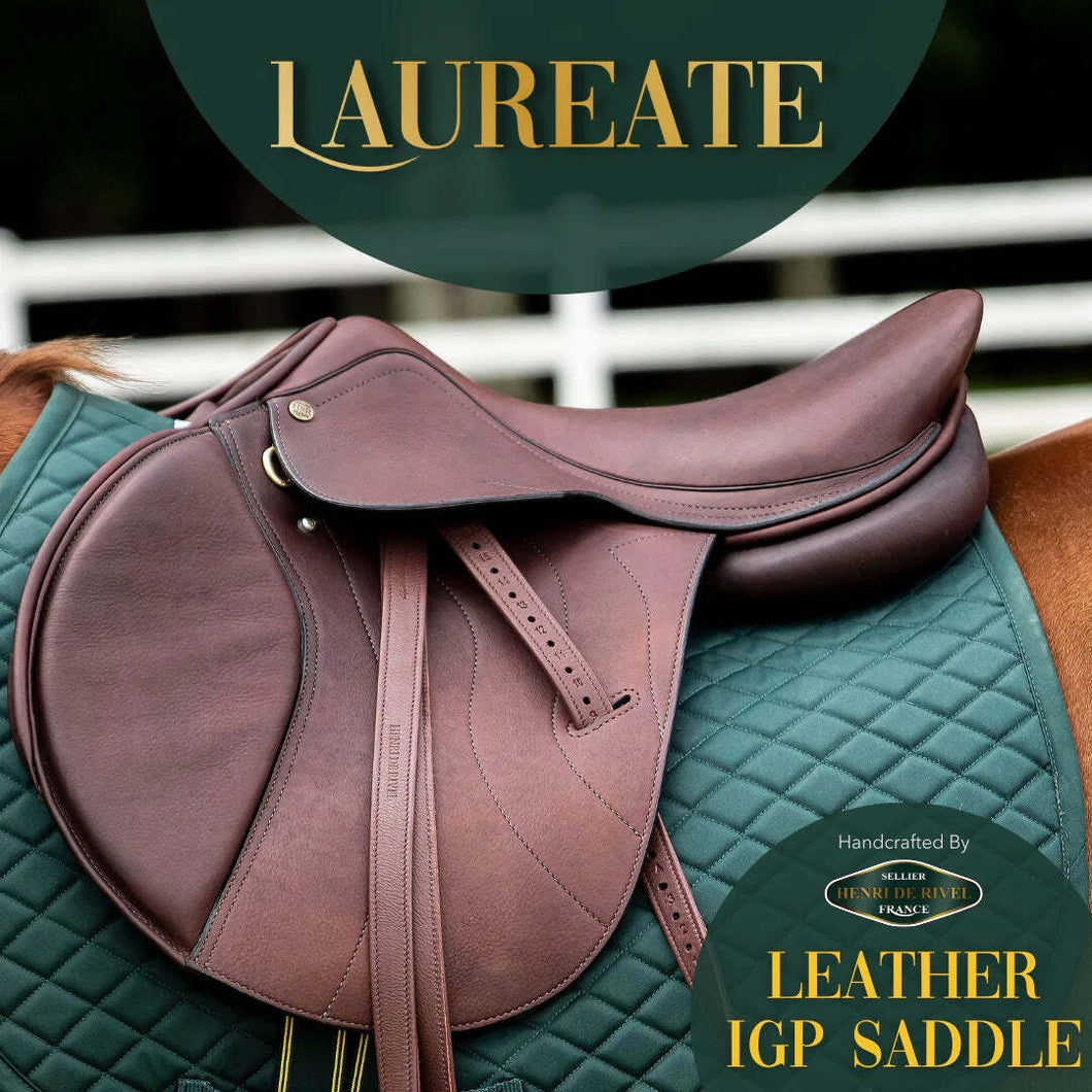 HENRI DE RIVEL LAUREATE IGP SADDLE