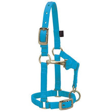 Load image into Gallery viewer, Miniature Horse Adjustable Chin &amp; Throat Snap Halter,
