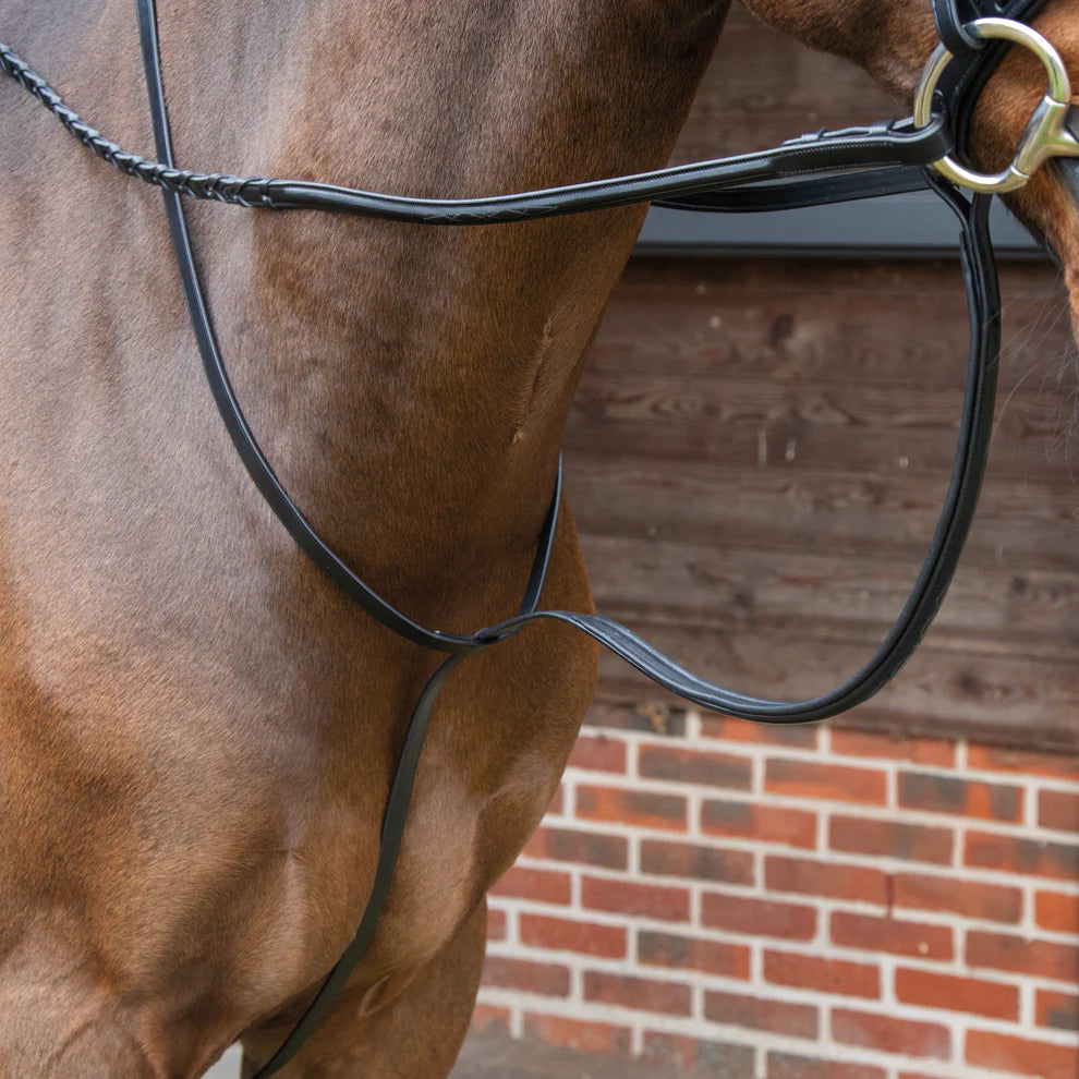 Avignon Standing Martingale