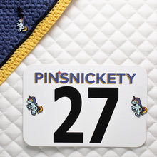Load image into Gallery viewer, PINSNICKETY Number Pins
