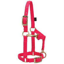 Load image into Gallery viewer, Miniature Horse Adjustable Chin &amp; Throat Snap Halter,
