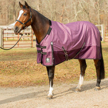 Load image into Gallery viewer, Equinavia Norse Mid Weight Turnout Blanket 200g - Plum Wine/Orchid Haze
