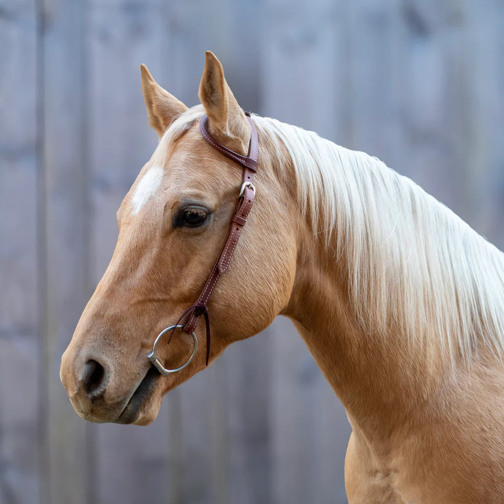 Velociti One Ear Headstall
