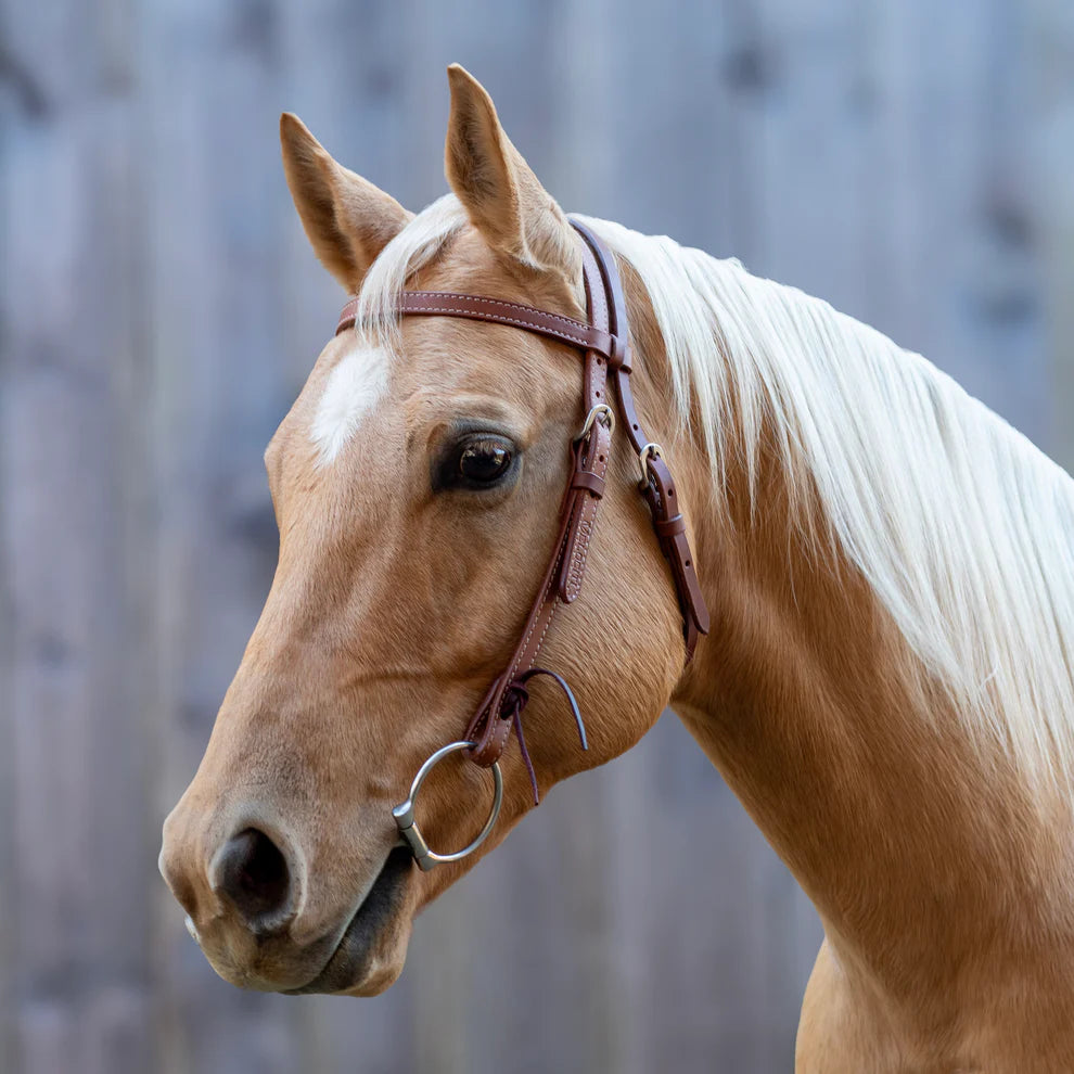 Velociti Browband Headstall