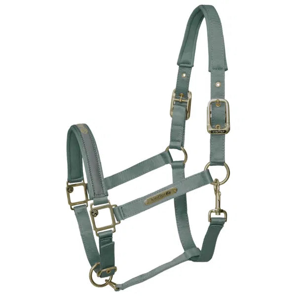 Kieffer Stain Shine Halter