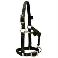 Load image into Gallery viewer, Miniature Horse Adjustable Chin &amp; Throat Snap Halter,
