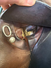 Load image into Gallery viewer, Used 16.5” Devoucoux Oldara 2011 Close Contact #27194
