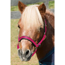 Load image into Gallery viewer, Shires Mini Halter Nylon
