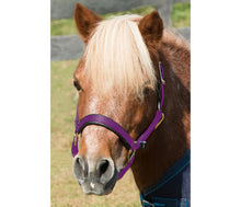 Load image into Gallery viewer, Shires Mini Halter Nylon
