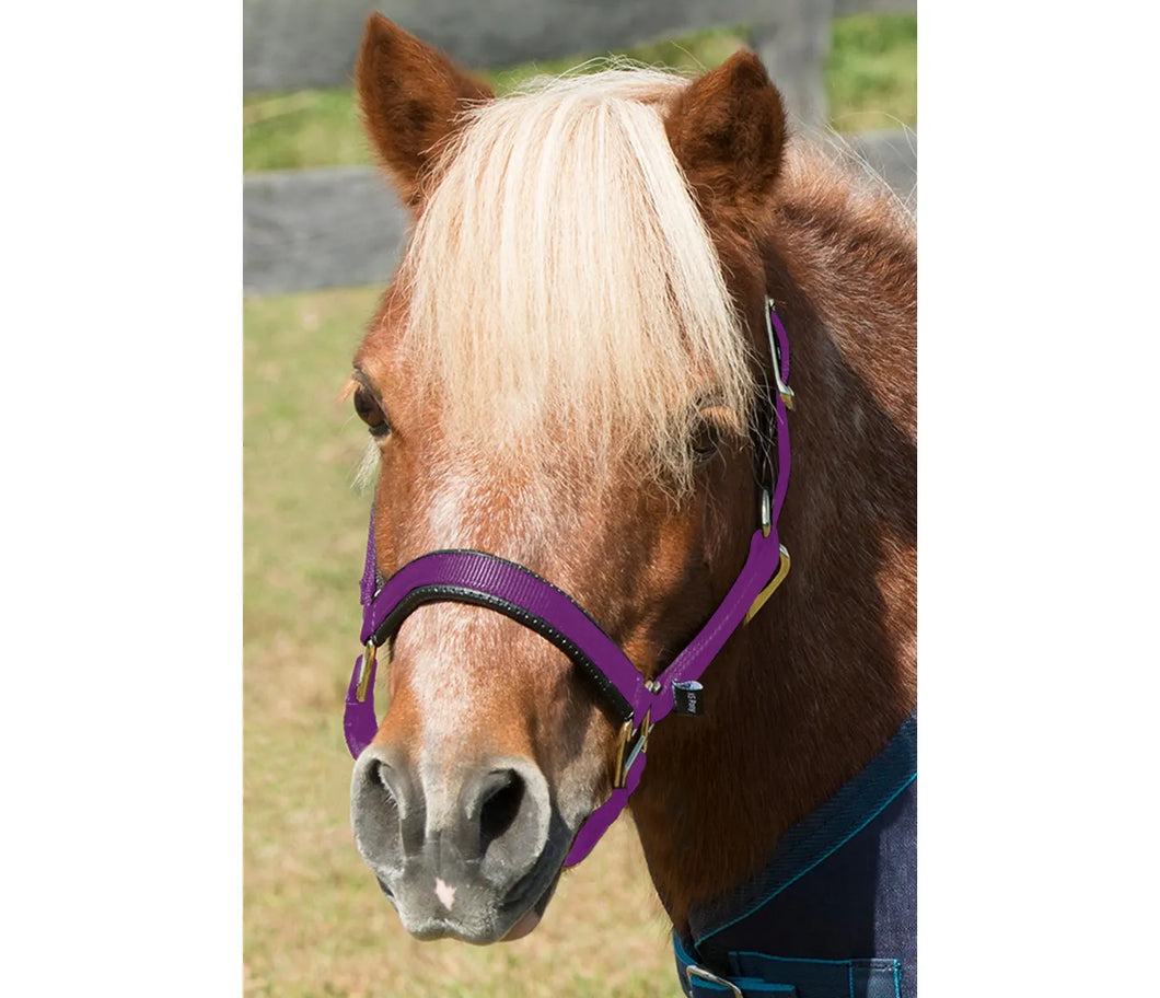 Shires Mini Halter Nylon