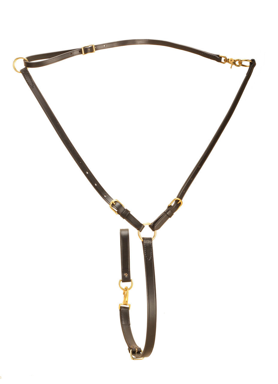 Tory Training Martingale- Havana