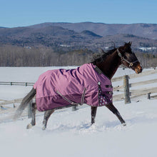Load image into Gallery viewer, Equinavia Norse Mid Weight Turnout Blanket 200g - Plum Wine/Orchid Haze
