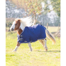 Load image into Gallery viewer, Shires Highlander Miniature Lite
