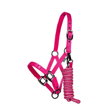 Load image into Gallery viewer, Horseware Newmarket Halter &amp; Lead
