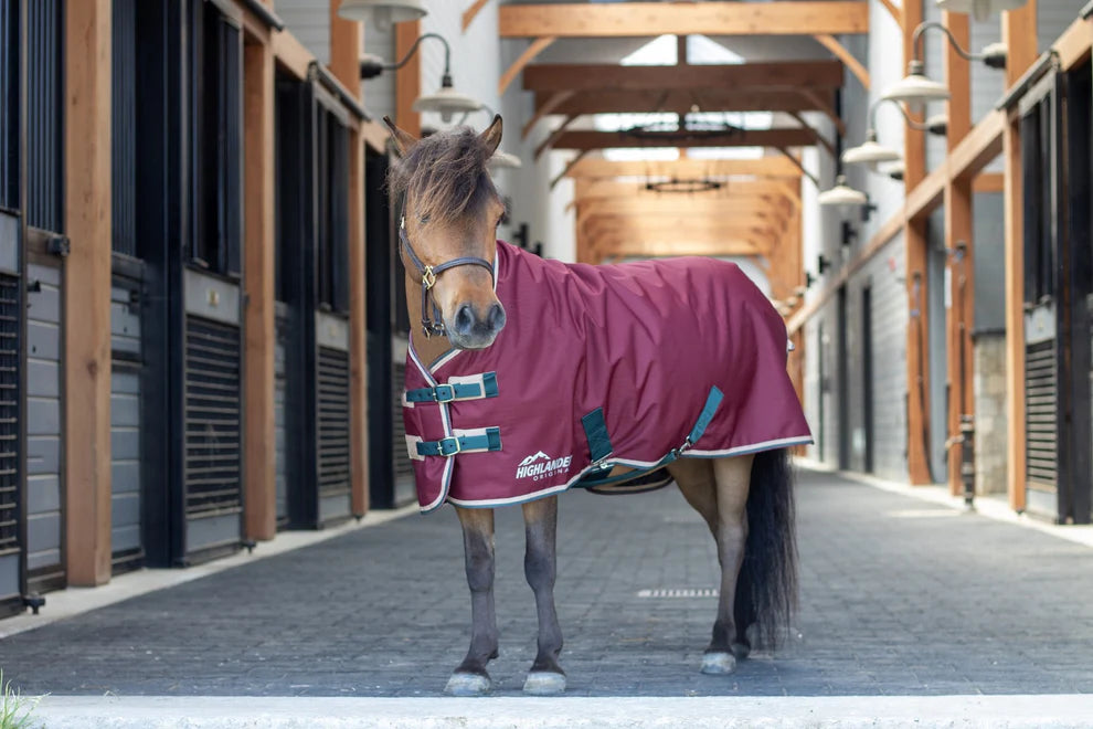 Shires Highlander 200G Blanket- Maroon