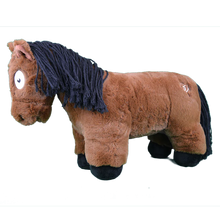 Load image into Gallery viewer, Crafty Pony
