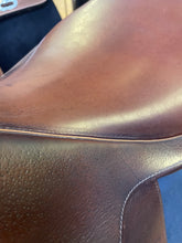 Load image into Gallery viewer, Used 17” Pessoa Rodrigo Flocked #25449
