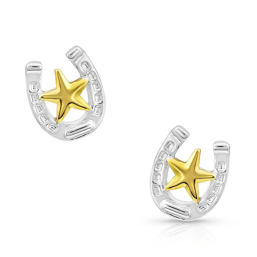 Montana Silversmith Small Stars & Horseshoe Post Earrings