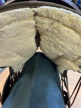 Load image into Gallery viewer, Used 16” High Horse Willow Springs #21866
