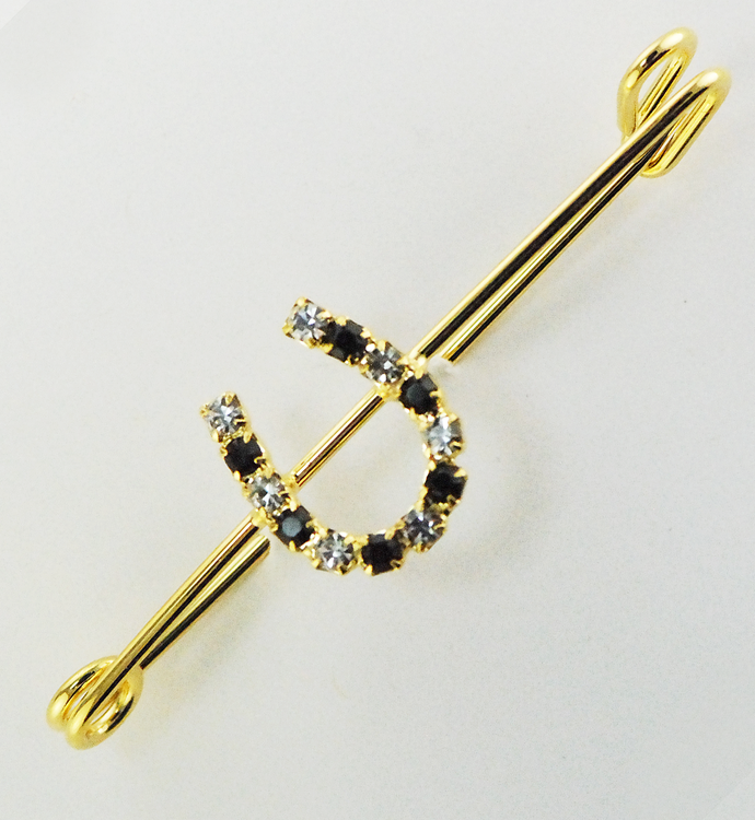 RUBY/CRYSTAL RHINESTONE HORSESHOE ON MEDIUM STOCK PIN-GOLD FINISH