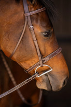 Load image into Gallery viewer, Huntley Equestrian Sedgwick Fancy Stitched Square Raised Hunter Horse Bridle with Reins
