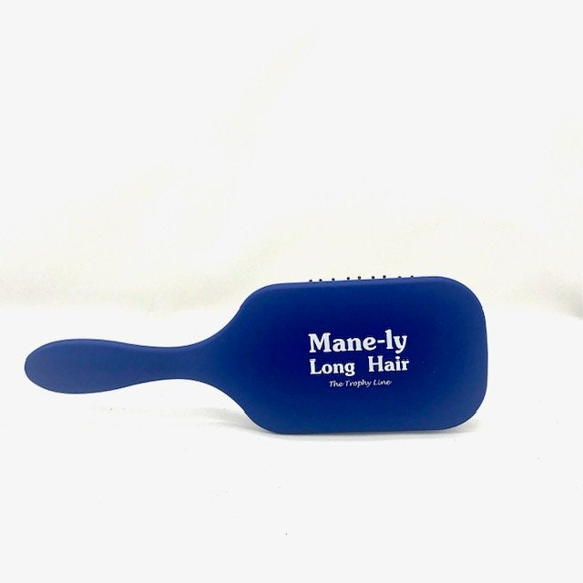 MANELY BEST BLUE MAINTENANCE BRUSH