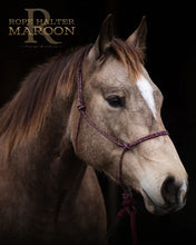 Load image into Gallery viewer, Haychix Redemption Rope Halters
