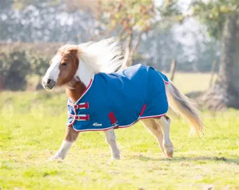 Shires Highlander Miniature Lite