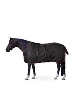 Load image into Gallery viewer, Horze Pegasus Pony Mid Weight 200gm Turnout Blanket
