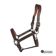 Load image into Gallery viewer, Signature by Antares Leather Halter
