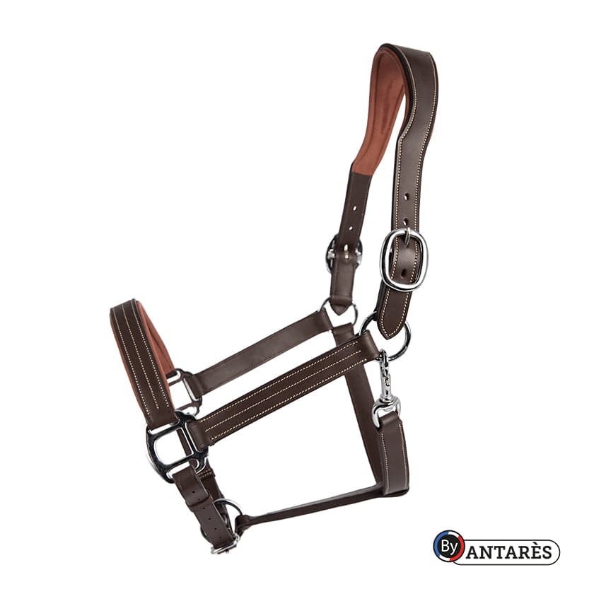 Signature by Antares Leather Halter