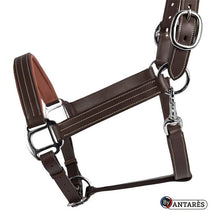 Load image into Gallery viewer, Signature by Antares Leather Halter
