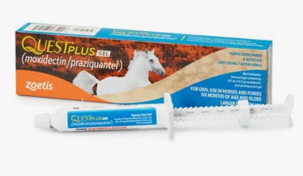 QUEST PLUS Gel Moxidectin & Praziquantel Dewormer & Boticide for Horses & Ponies, 0.5-fl oz syringe