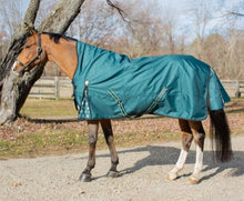 Load image into Gallery viewer, Equinavia Arktis Extended Neck Heavy Weight Turnout Blanket 300g - Dark Green
