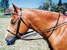 Load image into Gallery viewer, Tory German Martingale with reins
