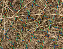 Load image into Gallery viewer, Greedy Feeder Color-Twist Net
