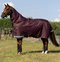 Load image into Gallery viewer, LeMieux Arika Ripstop 0g Turnout Sheet -Bramble
