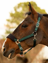 Load image into Gallery viewer, Equinavia Saga Fleece Padded Breakaway Halter
