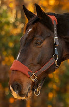 Load image into Gallery viewer, Equinavia Saga Fleece Padded Breakaway Halter
