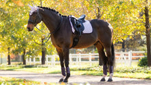 Load image into Gallery viewer, LeMeiux Suede Dressage Square - Large
