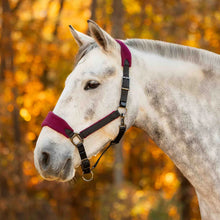 Load image into Gallery viewer, Equinavia Saga Fleece Padded Breakaway Halter
