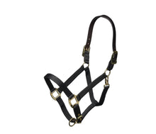 Load image into Gallery viewer, SHIRES Nylon Halter With Leather Crown
